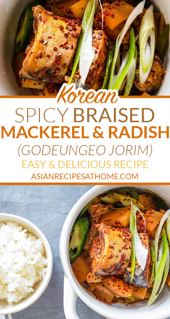 Mackerel fish and Korean radish are the stars in this delicious and spicy Korean braised dish. 